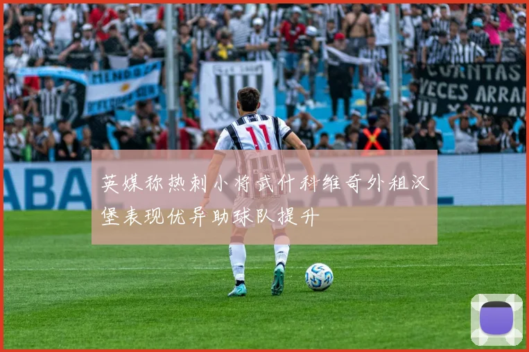 英媒称热刺小将武什科维奇外租汉堡表现优异助球队提升