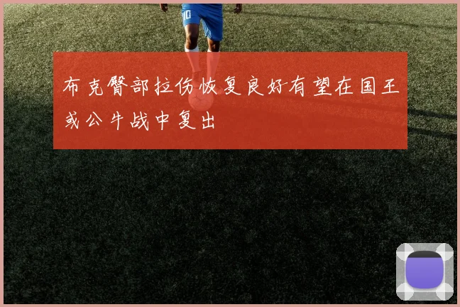 布克臀部拉伤恢复良好有望在国王或公牛战中复出